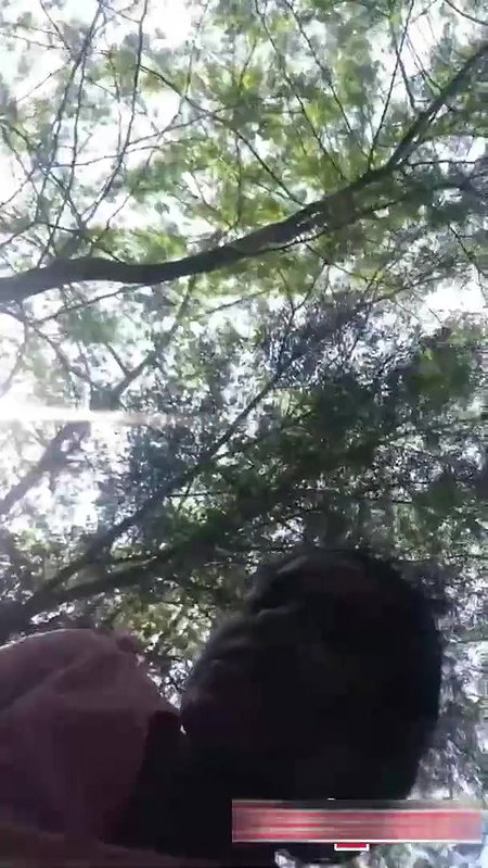 Desi lovers outdoor sex captured on cam