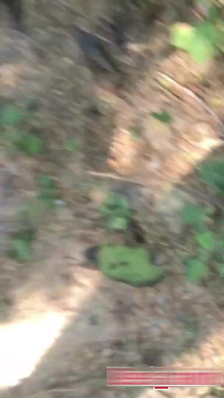 Desi lovers outdoor sex captured on cam