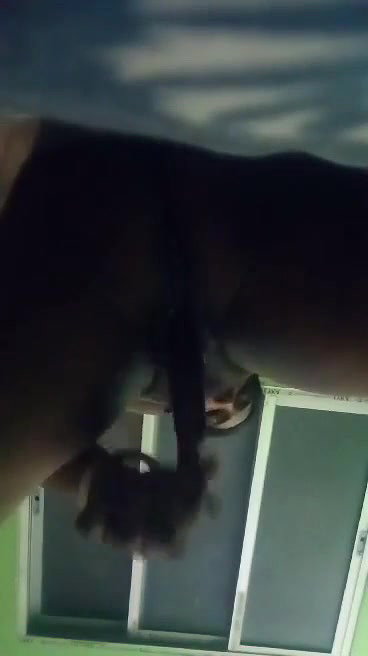 unsatisfied bhabhi horny pussy masturbation