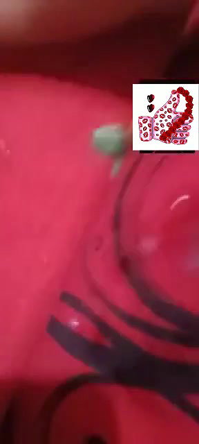 Bangladeshi Bhabhi Pussy Fingering Viral MMS