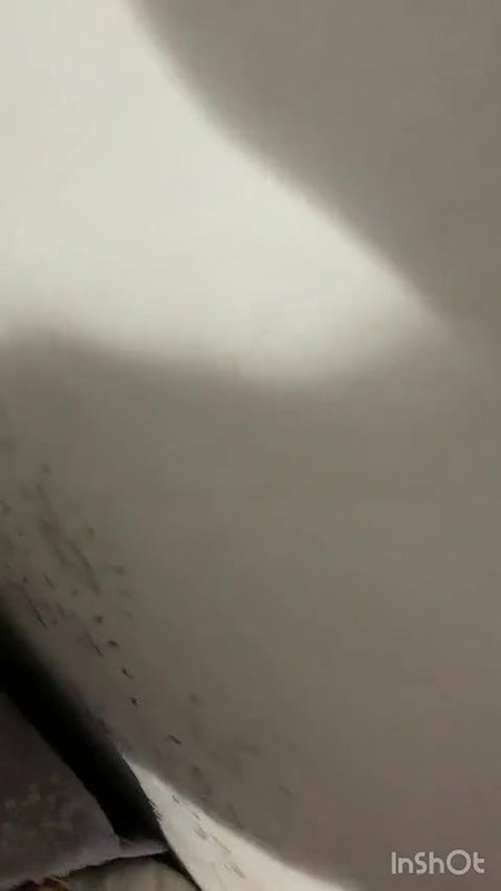 Horny Wife Giving Blowjob