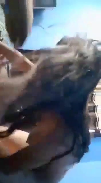 Desi girl blowjob and riding sex with lover