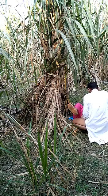 Indian village bhabhi outdoor fucking scandal