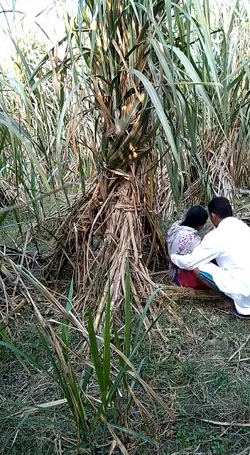 Indian village bhabhi outdoor fucking scandal