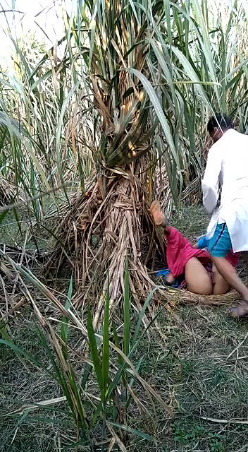 Indian village bhabhi outdoor fucking scandal