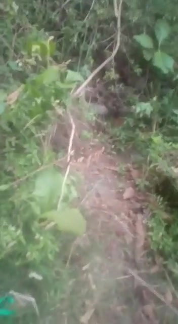 outdoor pissing xx porn