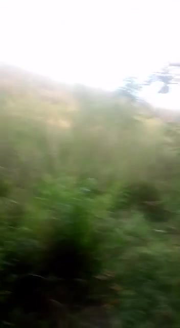 outdoor pissing xx porn