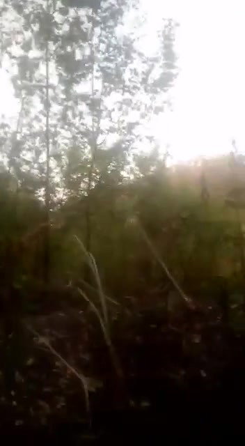 outdoor pissing xx porn