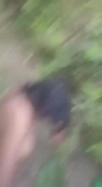 outdoor pissing xx porn
