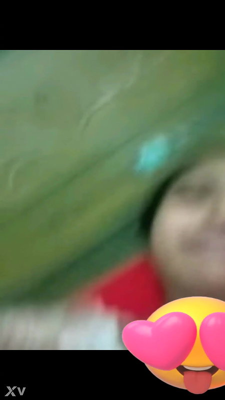 desi girl shows her big boobs and pussy