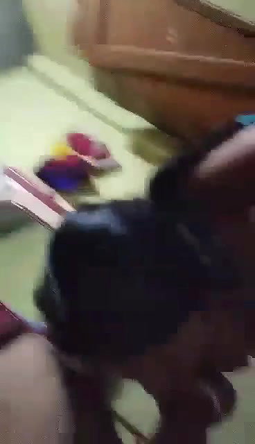 Bengali Boudi big boobs press and pussy fuck