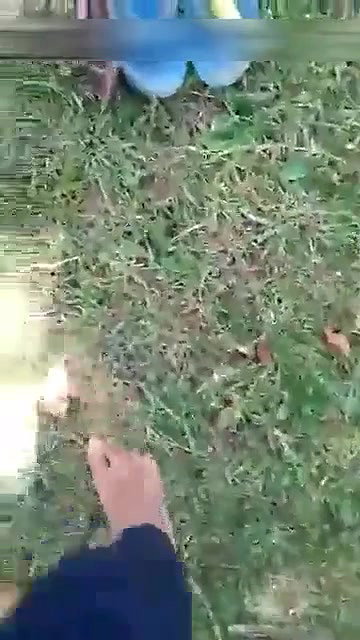 Tribal Desi wife fucked outdoors