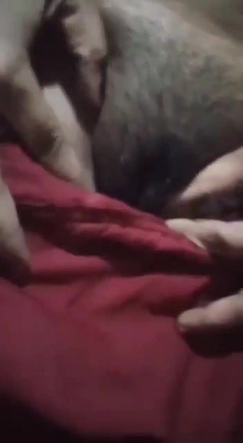 adorable Bengali girl showing her pussy hole