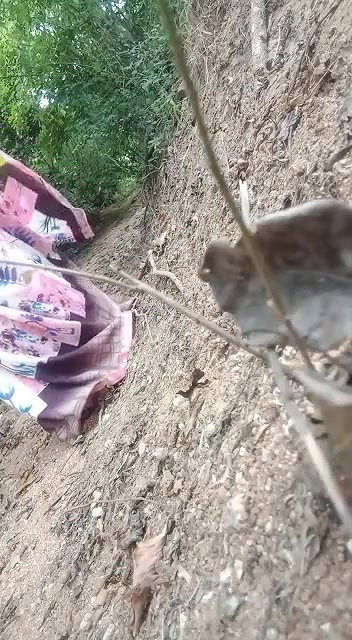 Desi Bhabhi outdoor fucking MMS