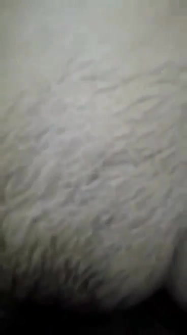 Bangladeshi mature Bhabhi fucking