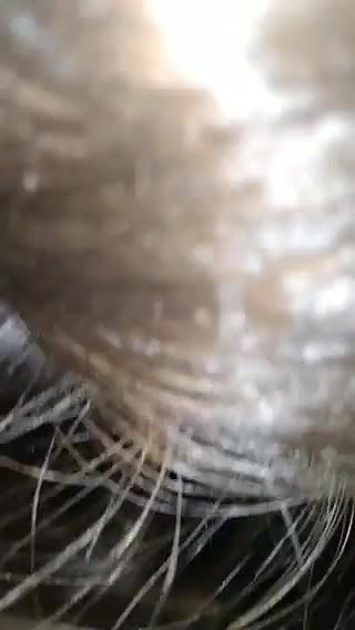 booby Pakistani girl eating cum of BF