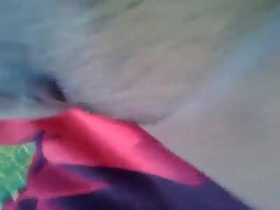 Bangladeshi horny girl fingering her sahved pussy