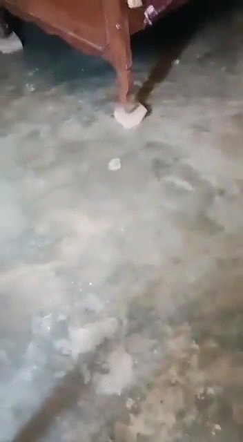 Pakistani mature girl paid to expose her assets