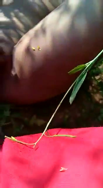 naughty guy makes video of boobs and pussy in jungle