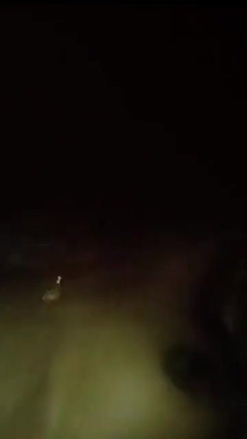 Bihari village Bhabhi showing her black pussy