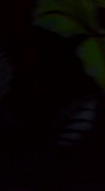 village girl taking dick doggy style first time