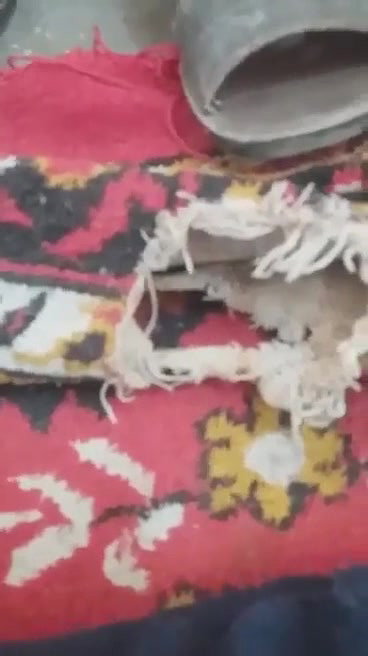 Pakistani wife illicit sex with Devar on cam