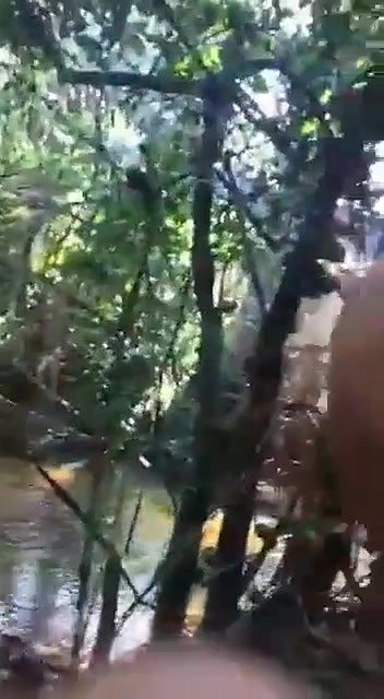 khule mein kri lund ki sawari