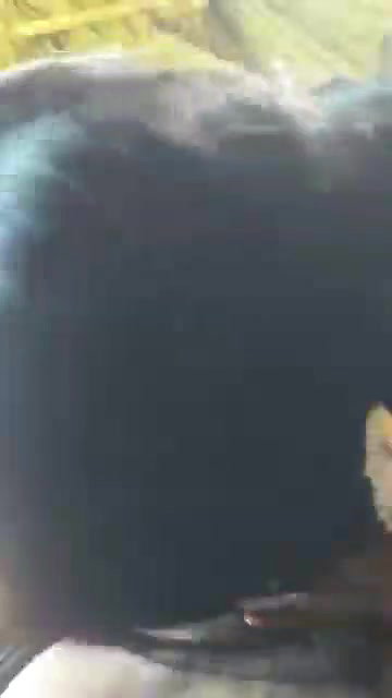 outdoor bj by gf