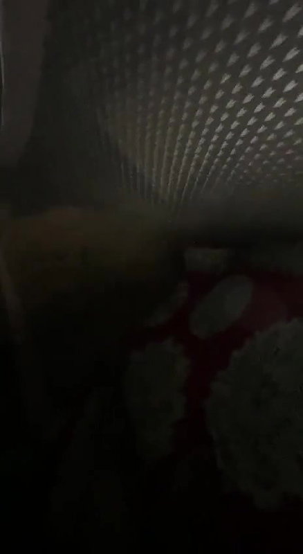 cute slim girl raiding