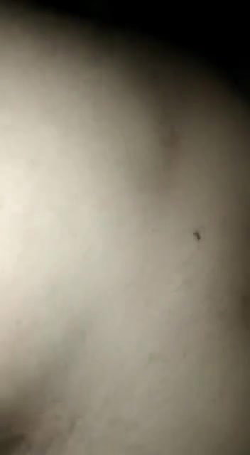 Desi black pussy fucked