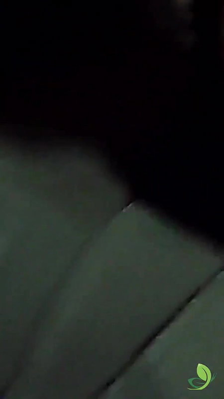 Lankan girl fucked hard on cam