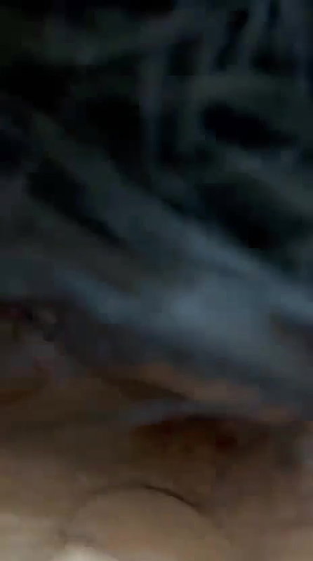 Sexy Horny Babe Giving Blowjob