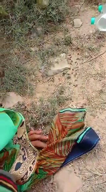 local Dehati randi giving blowjob in woods