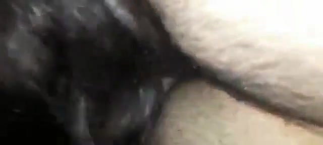 sexy Bhabhi giving blowjob