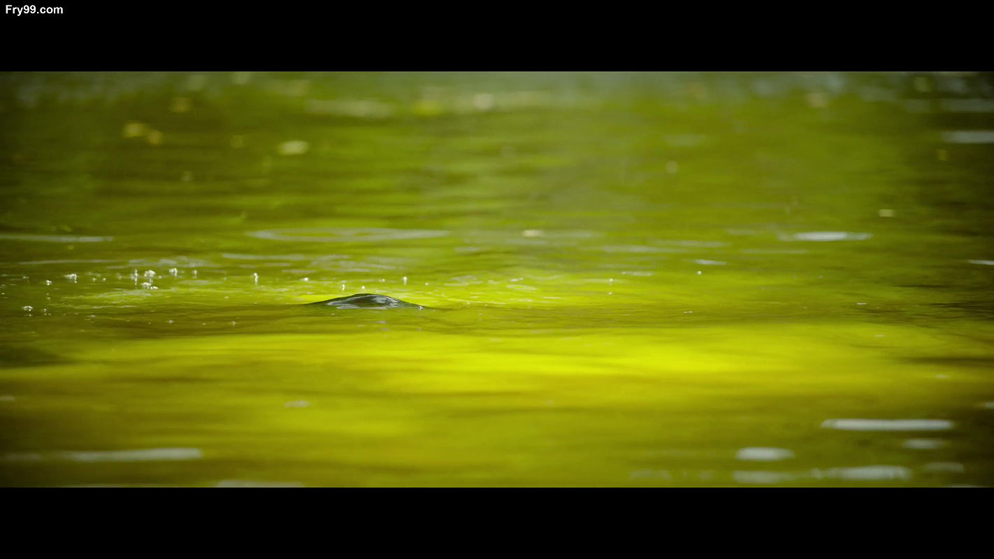 Katha Nandi Sexiest Liplock No Blouse Hottest Romance Scenes