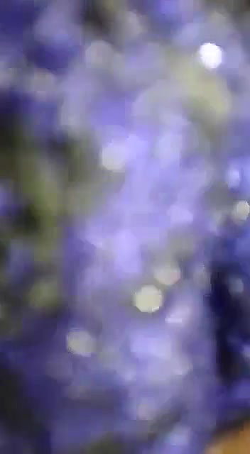 Indian Dehati girl quick sex with secret lover