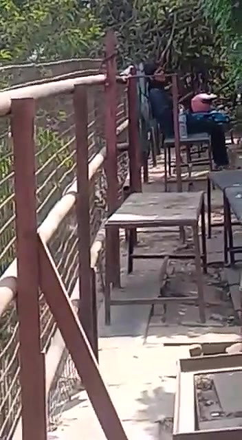 college girl outdoor sex with lover