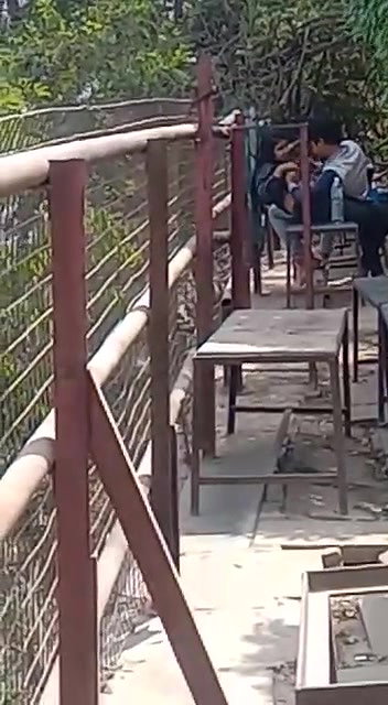 college girl outdoor sex with lover