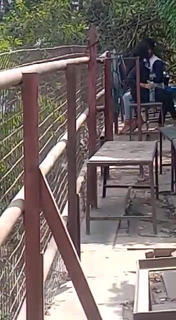 college girl outdoor sex with lover