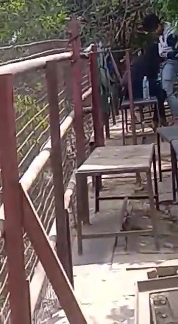 college girl outdoor sex with lover