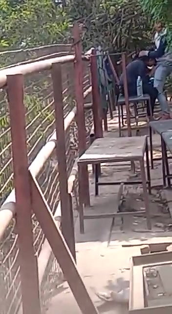 college girl outdoor sex with lover