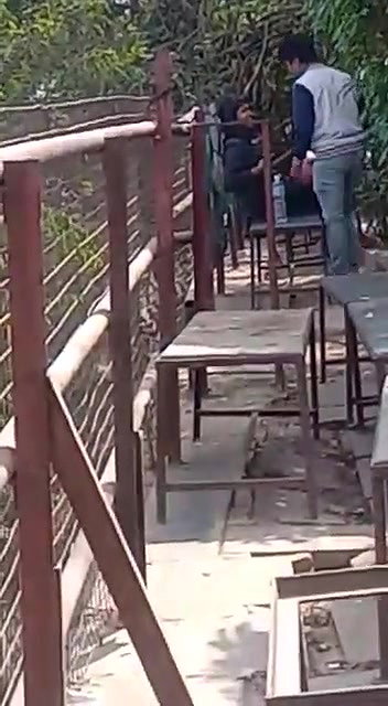 college girl outdoor sex with lover