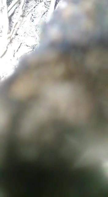 Sri Lankan couple outdoor sex MMS with audio
