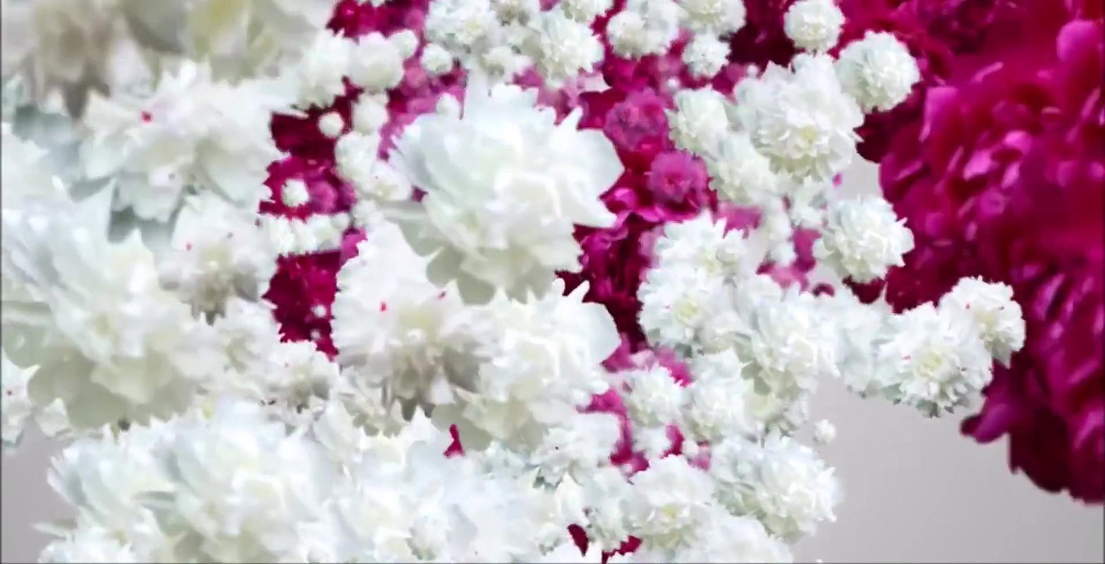 BBC Queen Loves Sucking