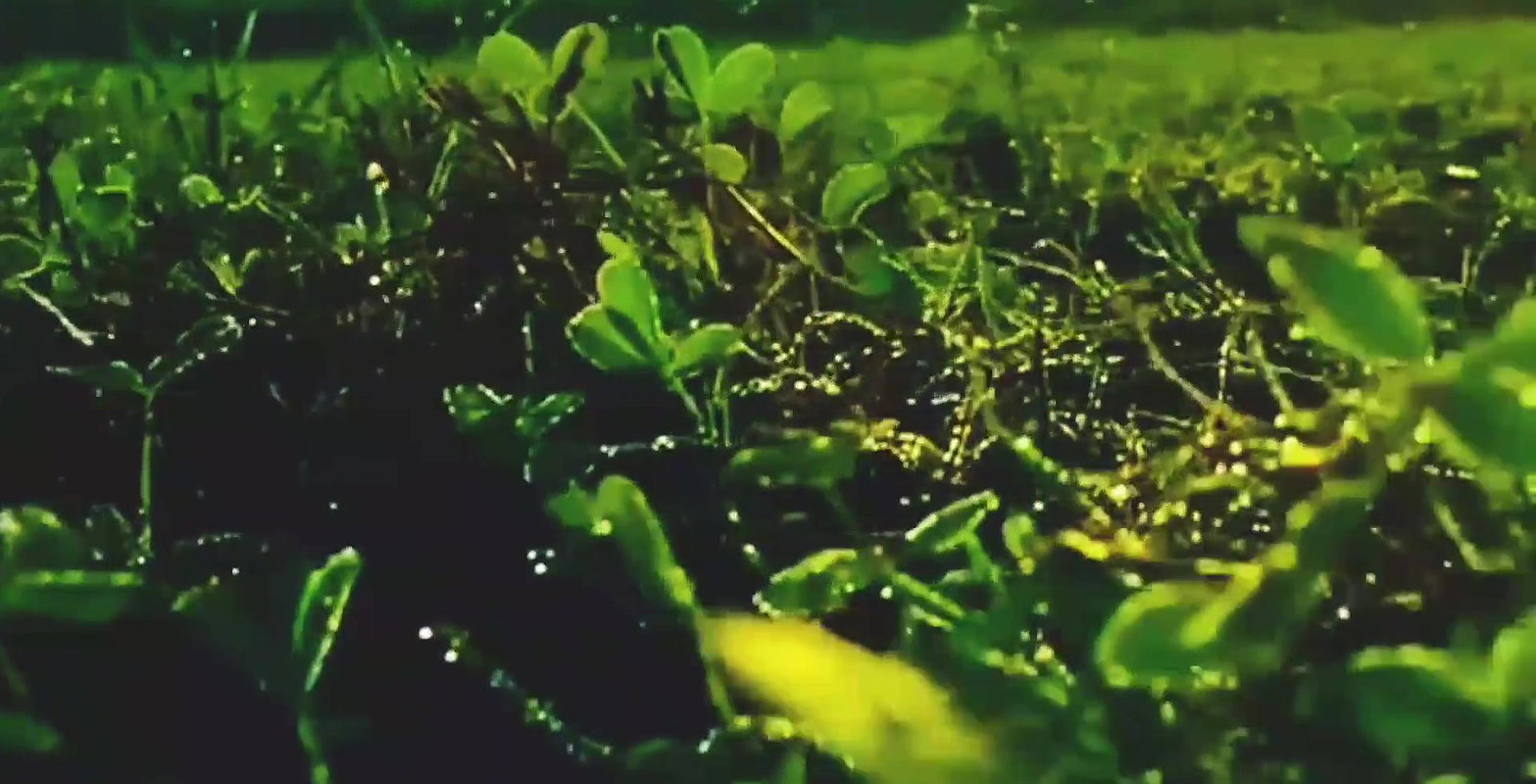 Beautifull Bollywood actress sex with me I’m hard fucked full day