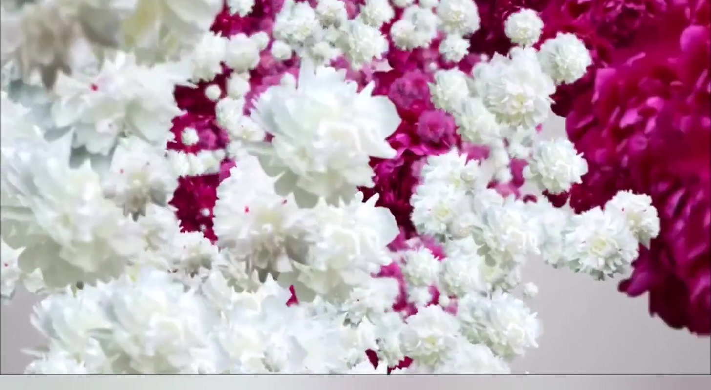 Branding Of A New Slave