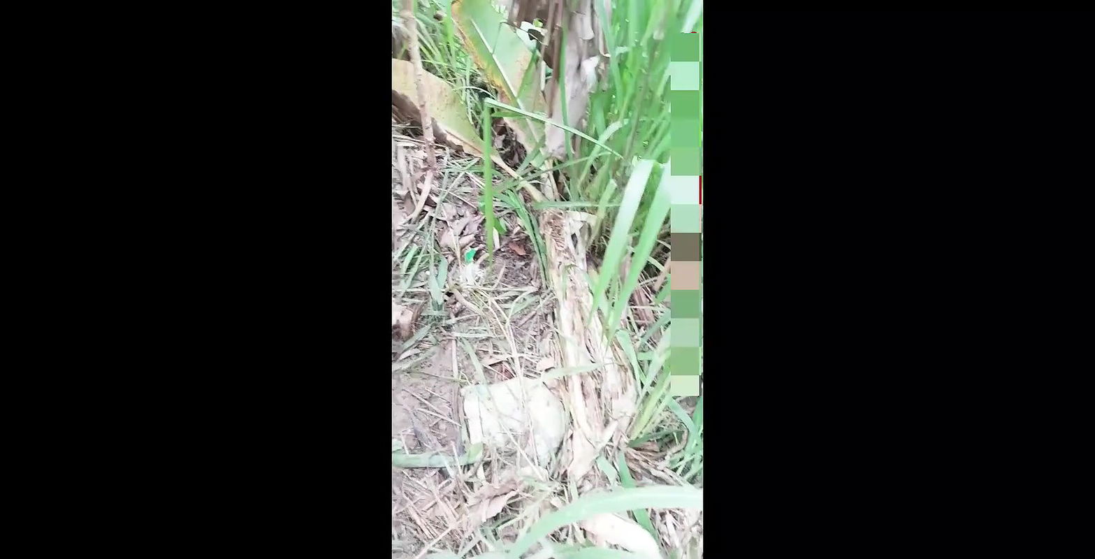 Cheating WIFE RISKY OUTDOOR