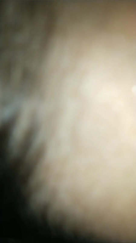 Tribal hairy pussy girl fucked hard