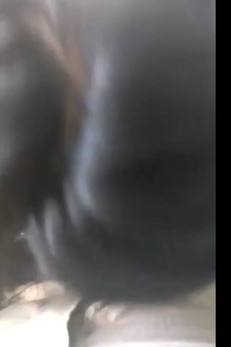 hot girl giving Blowjob to her boyfriend