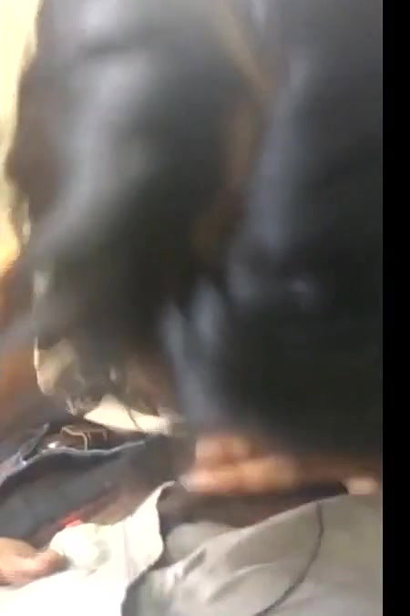 hot girl giving Blowjob to her boyfriend
